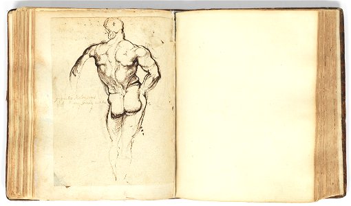 Rubens (Hércules Farnese)