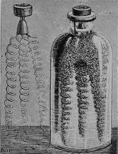 Rozrywki Naukowe Fig. 154