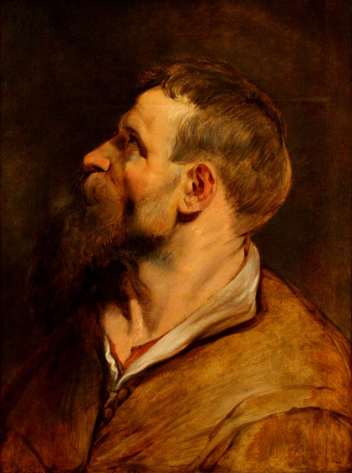 Rubenshlava