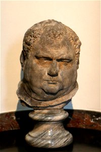 Rubenshuis-Vitellus
