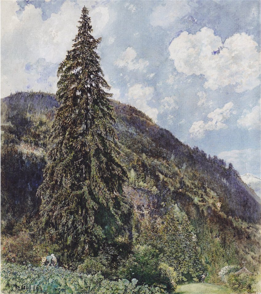Rudolf von Alt - Die große Fichte in Gastein - 1899