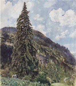 Rudolf von Alt - Die große Fichte in Gastein - 1899