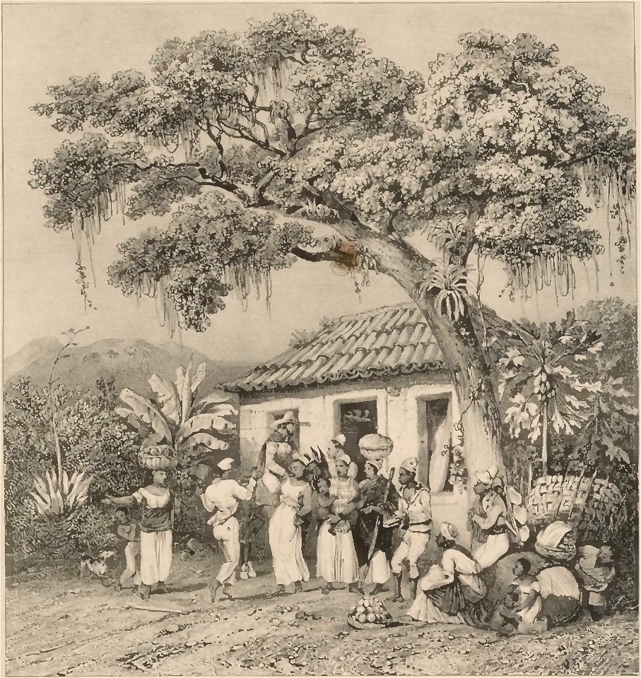Rugendas - Voyage pittoresque dans le Brésil, fascicule 20, trad Golbéry, 1827 (page 13 crop)
