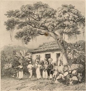 Rugendas - Voyage pittoresque dans le Brésil, fascicule 20, trad Golbéry, 1827 (page 13 crop)