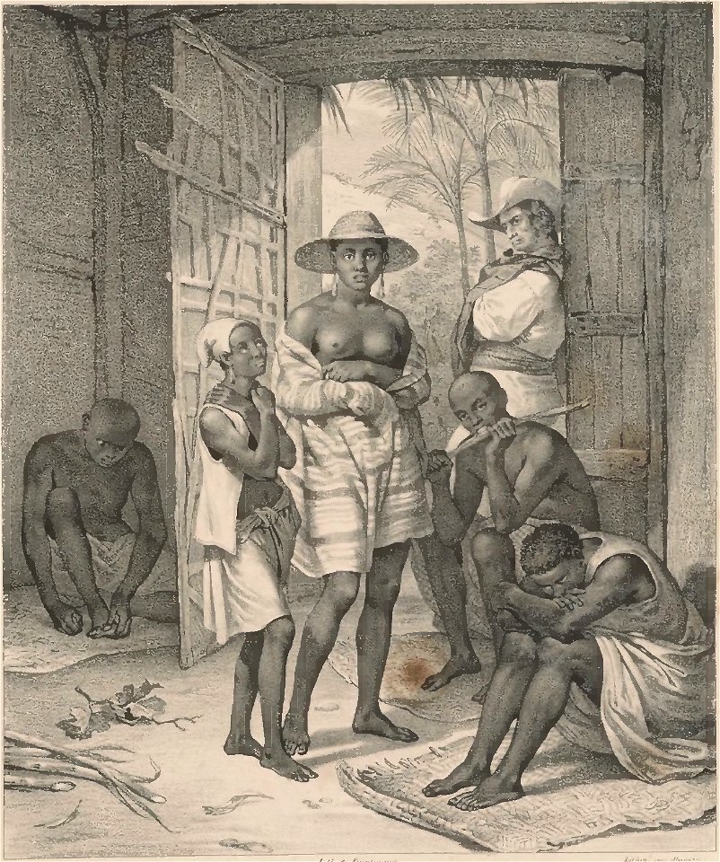 Rugendas - Voyage pittoresque dans le Brésil, fascicule 9, trad Golbéry, 1827 (page 13 crop)