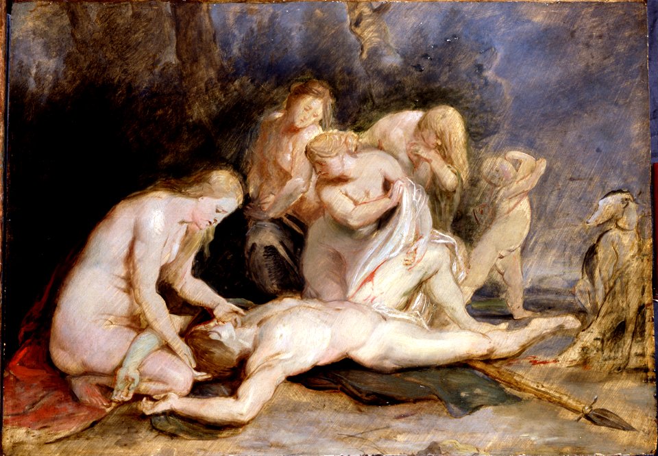 Rubens, Sir Peter Paul - Venus mourning Adonis - Google Art Project