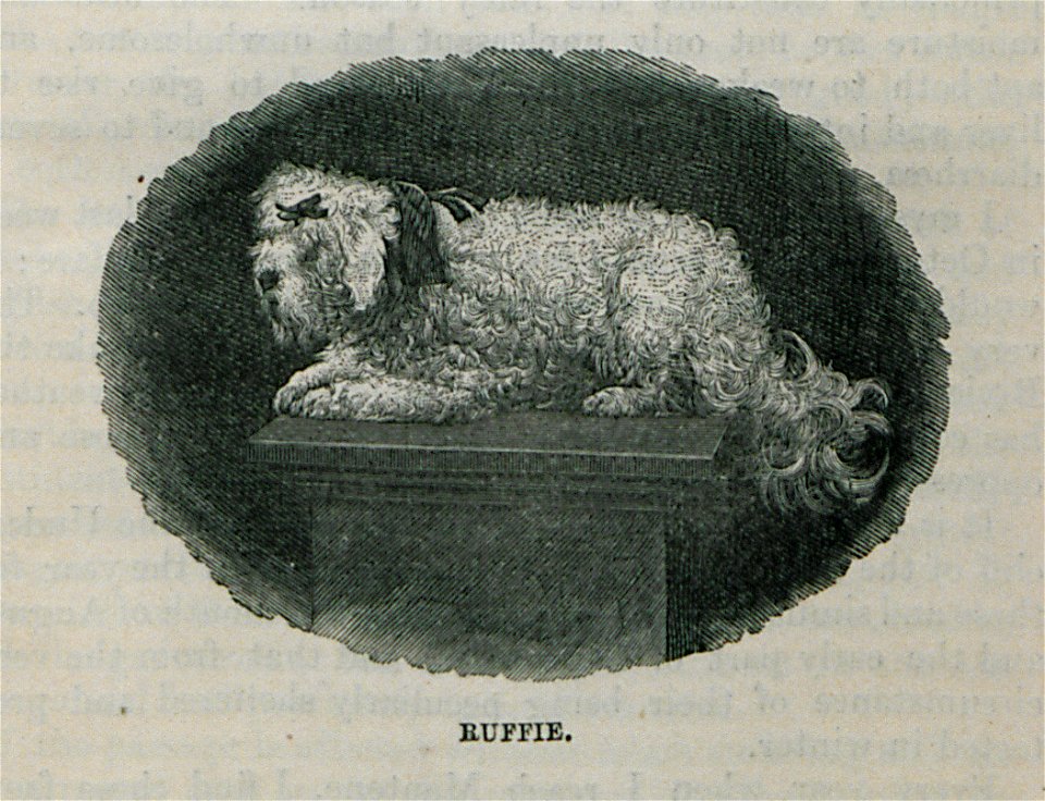 Ruffie - Bennet James Henry M - 1875