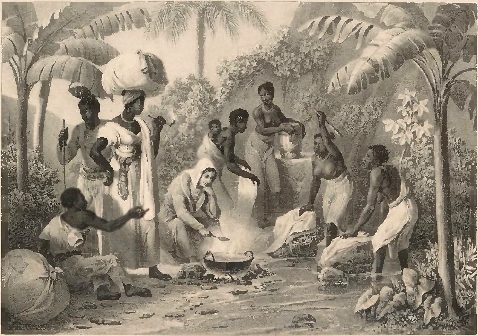 Rugendas - Voyage pittoresque dans le Brésil, fascicule 19, trad Golbéry, 1827 (page 11 crop)