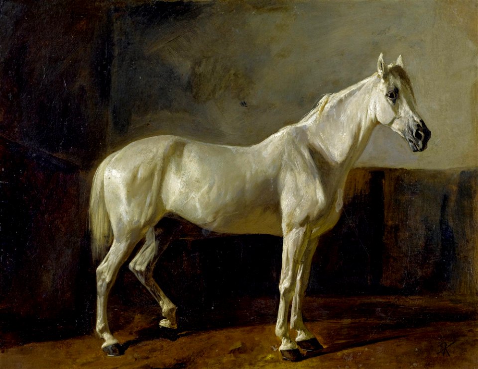 Rudolf Koller Stehender Schimmel