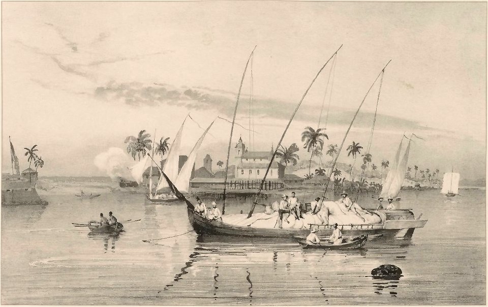 Rugendas - Voyage pittoresque dans le Brésil, fascicule 6, trad Golbéry, 1827 (page 15 crop)