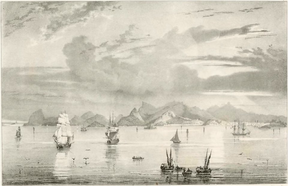 Rugendas - Voyage pittoresque dans le Brésil, fascicule 2, trad Golbéry, 1827 (page 11 crop)