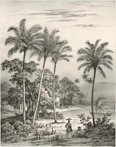 Rugendas - Voyage pittoresque dans le Brésil, fascicule 6, trad Golbéry, 1827 (page 17 crop)