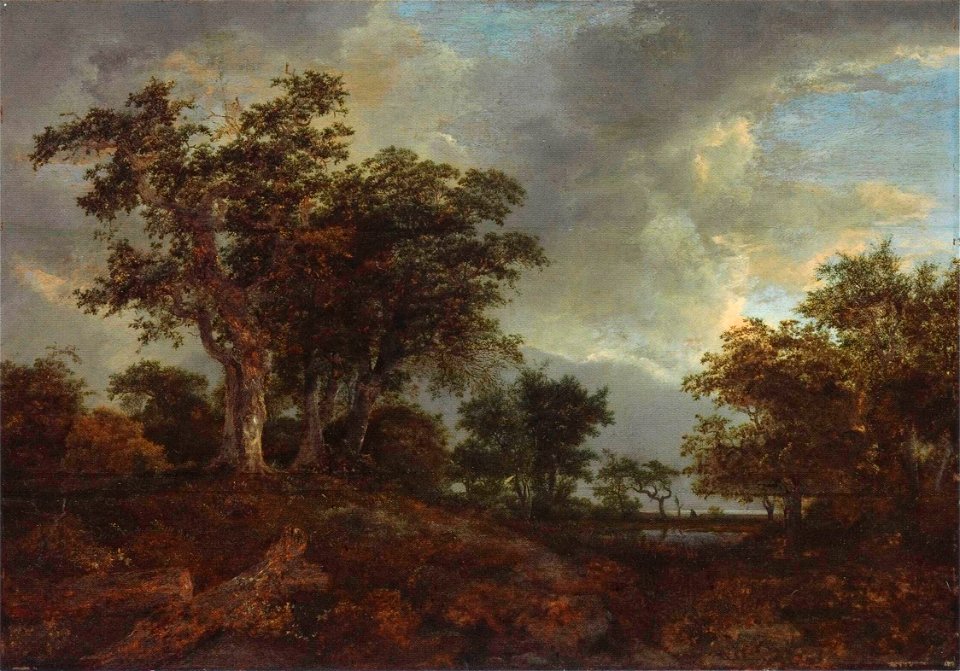 Jacob van Ruisdael - A wooded landscape with a pond