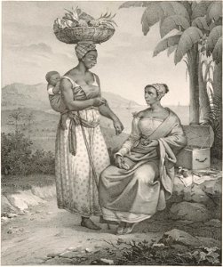 Rugendas - Voyage pittoresque dans le Brésil, fascicule 8, trad Golbéry, 1827 (page 15 crop)