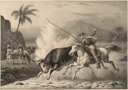 Rugendas - Voyage pittoresque dans le Brésil, fascicule 10, trad Golbéry, 1827 (page 17 crop)