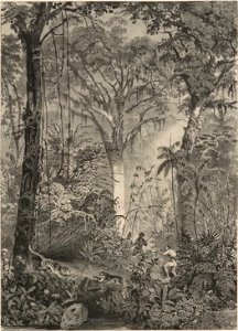 Rugendas - Voyage pittoresque dans le Brésil, fascicule 15, trad Golbéry, 1827 (page 13 crop)
