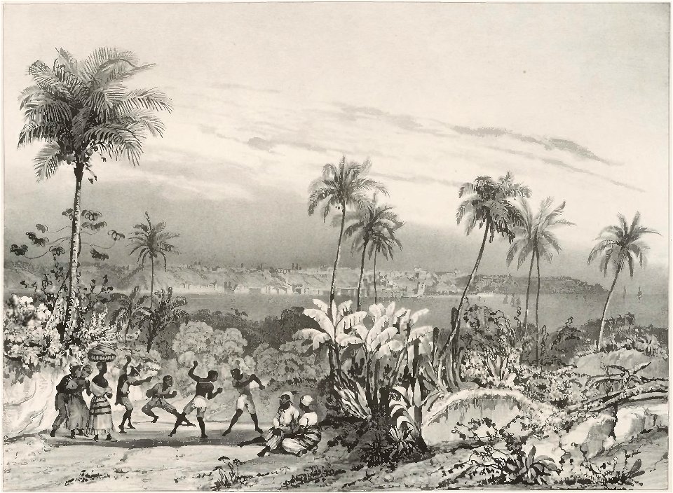 Rugendas - Voyage pittoresque dans le Brésil, fascicule 6, trad Golbéry, 1827 (page 13 crop)