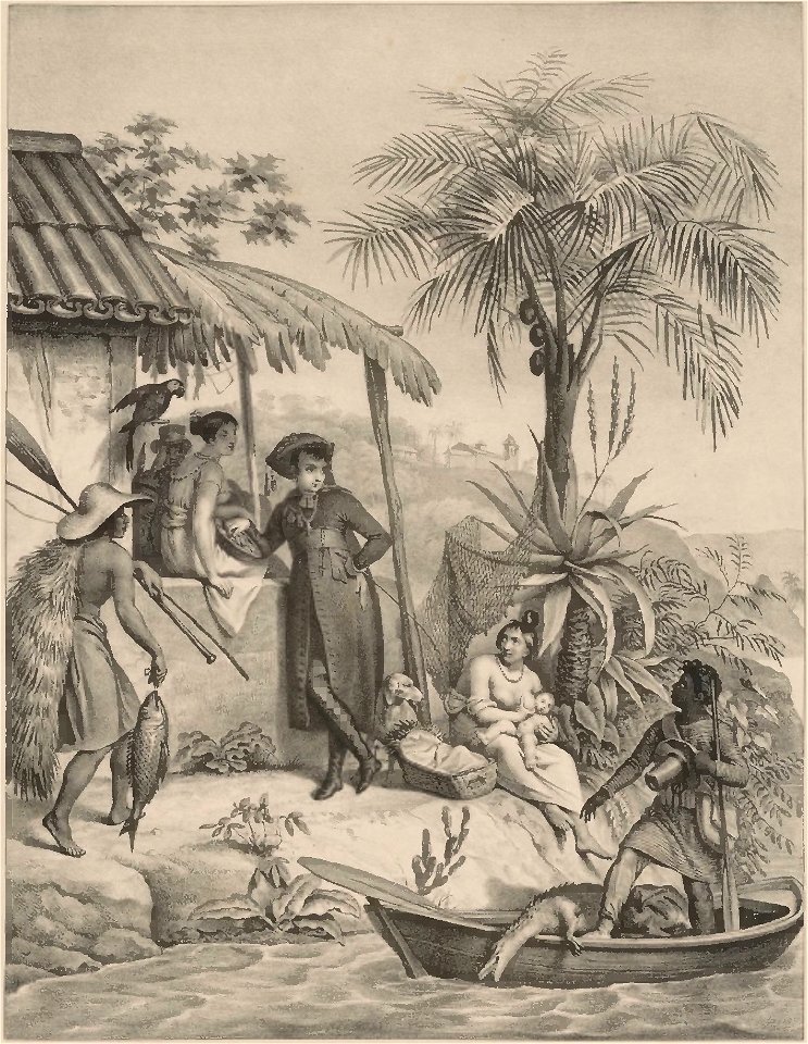 Rugendas - Voyage pittoresque dans le Brésil, fascicule 10, trad Golbéry, 1827 (page 19 crop)