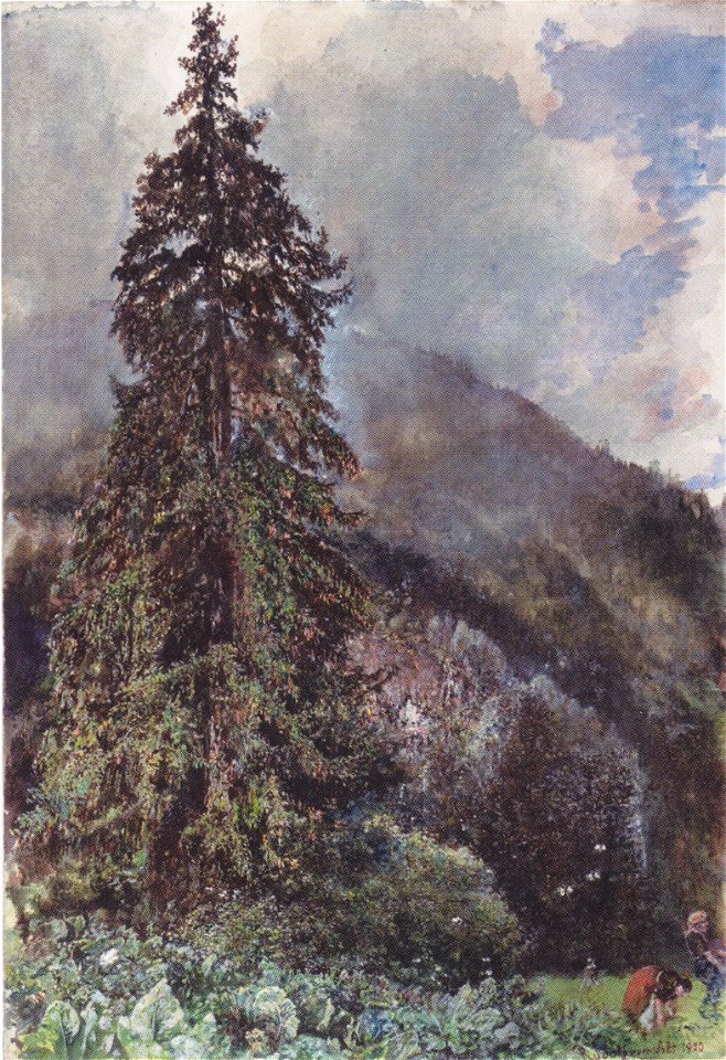 Rudolf von Alt - Die große Fichte in Gastein - 1900