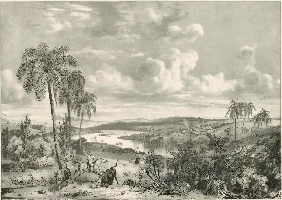 Rugendas - Voyage pittoresque dans le Brésil, fascicule 1, trad Golbéry, 1827 (page 25 crop)