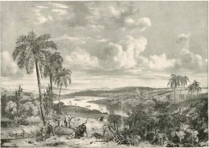 Rugendas - Voyage pittoresque dans le Brésil, fascicule 1, trad Golbéry, 1827 (page 25 crop)