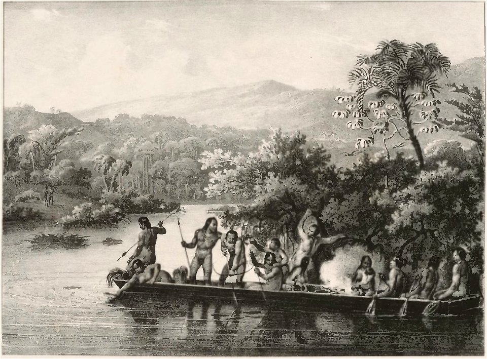 Rugendas - Voyage pittoresque dans le Brésil, fascicule 11, trad Golbéry, 1827 (page 21 crop)