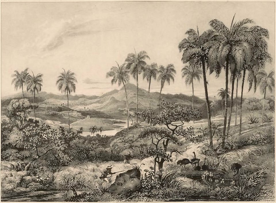 Rugendas - Voyage pittoresque dans le Brésil, fascicule 5, trad Golbéry, 1827 (page 19 crop)