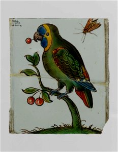 Ruit met vogel en insekt