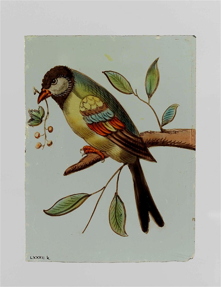 Ruit met een vogel met een tak met besjes in zijn snavel
