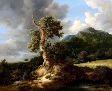 Jacob van Ruisdael - Bergachtig landschap met knoestige eik voor een korenveld