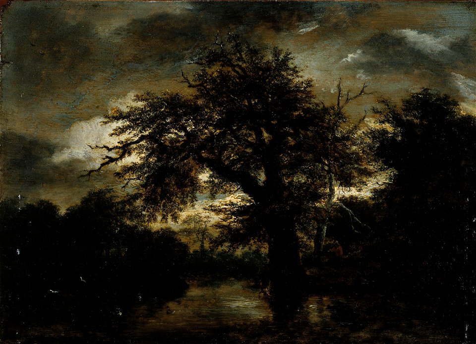 Van Ruisdael, Jacob Isaacksz - Le Vieux Chêne - J 103 - Musée Cognacq-Jay