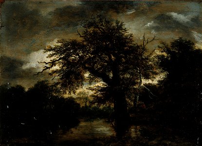 Van Ruisdael, Jacob Isaacksz - Le Vieux Chêne - J 103 - Musée Cognacq-Jay