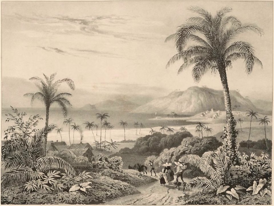 Rugendas - Voyage pittoresque dans le Brésil, fascicule 15, trad Golbéry, 1827 (page 15 crop)