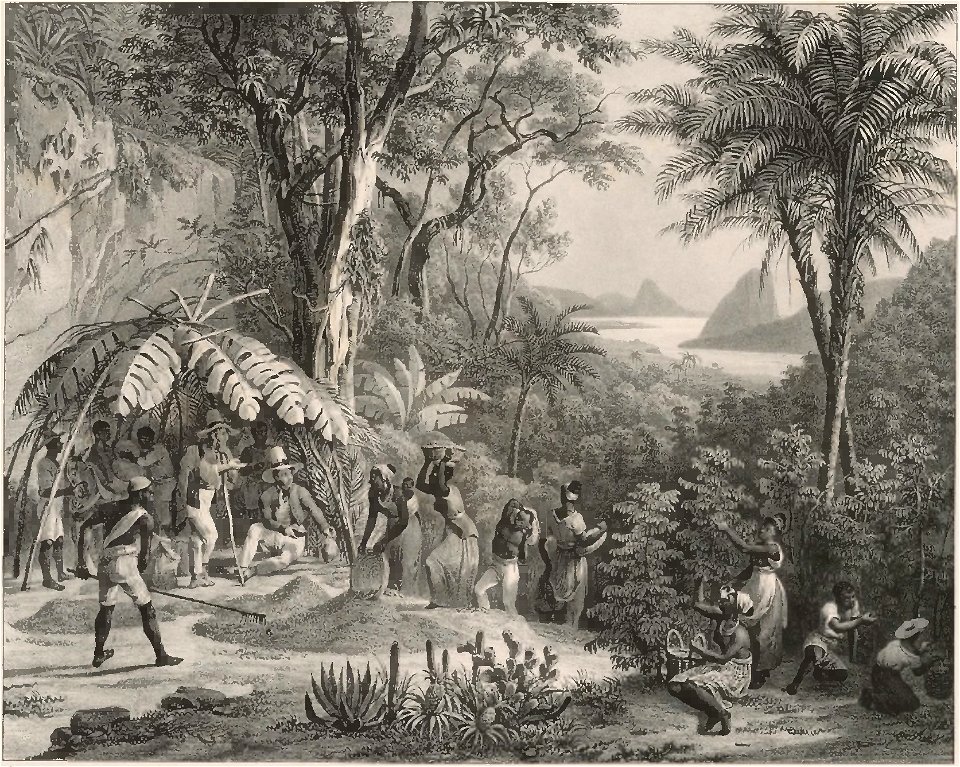 Rugendas - Voyage pittoresque dans le Brésil, fascicule 18, trad Golbéry, 1827 (page 15 crop)