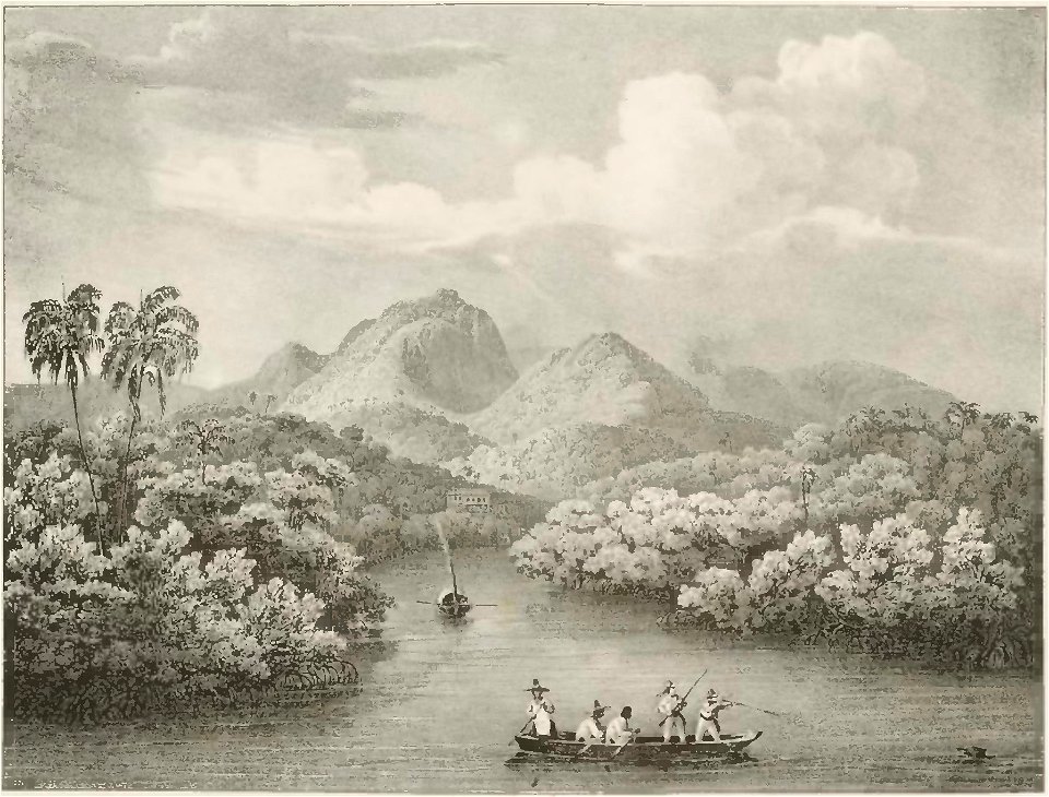 Rugendas - Voyage pittoresque dans le Brésil, fascicule 1, trad Golbéry, 1827 (page 21 crop)