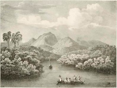 Rugendas - Voyage pittoresque dans le Brésil, fascicule 1, trad Golbéry, 1827 (page 21 crop)