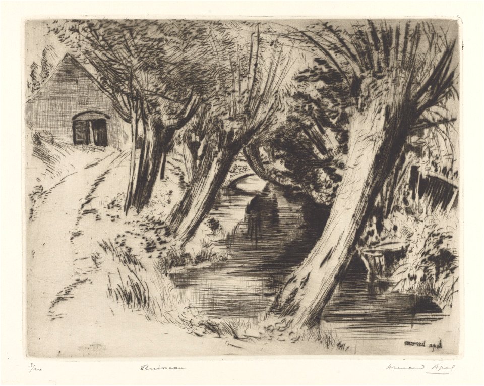Ruisseau, print by Armand Apol (1879-1950), Belgium, (1914), Prints Department of the Royal Library of Belgium, S.IV 109471