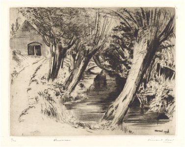 Ruisseau, print by Armand Apol (1879-1950), Belgium, (1914), Prints Department of the Royal Library of Belgium, S.IV 109471