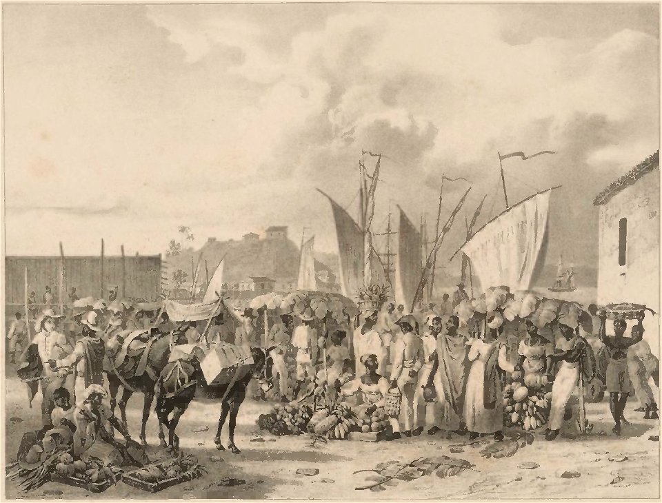 Rugendas - Voyage pittoresque dans le Brésil, fascicule 19, trad Golbéry, 1827 (page 15 crop)