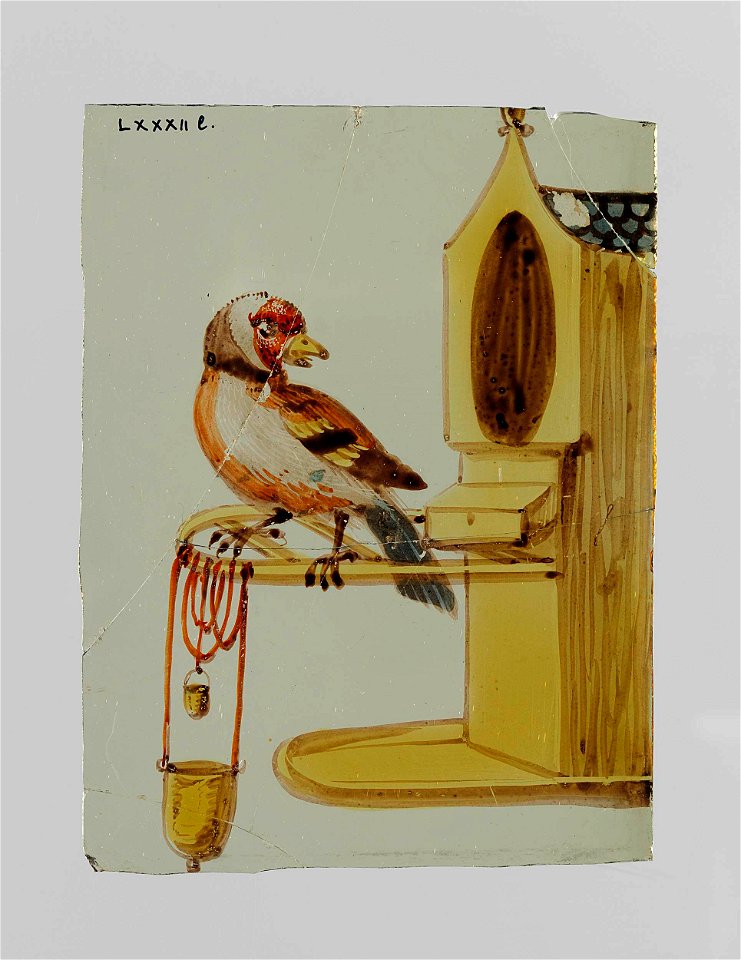 Ruit met een vogel voor een vogelhuisje