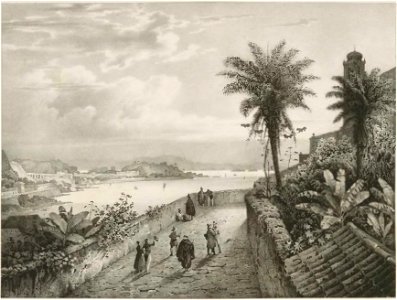 Rugendas - Voyage pittoresque dans le Brésil, fascicule 2, trad Golbéry, 1827 (page 15 crop)