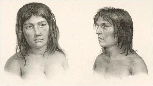 Rugendas - Voyage pittoresque dans le Brésil, fascicule 7, trad Golbéry, 1827 (page 15-2 crop)