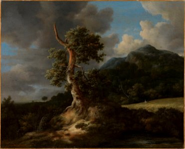 Jacob van Ruisdael - Mountainous Landscape with a Blasted Oak Tree - NMK.2013.0346 - National Museum of Art, Architecture and Design. Free illustration for personal and commercial use.