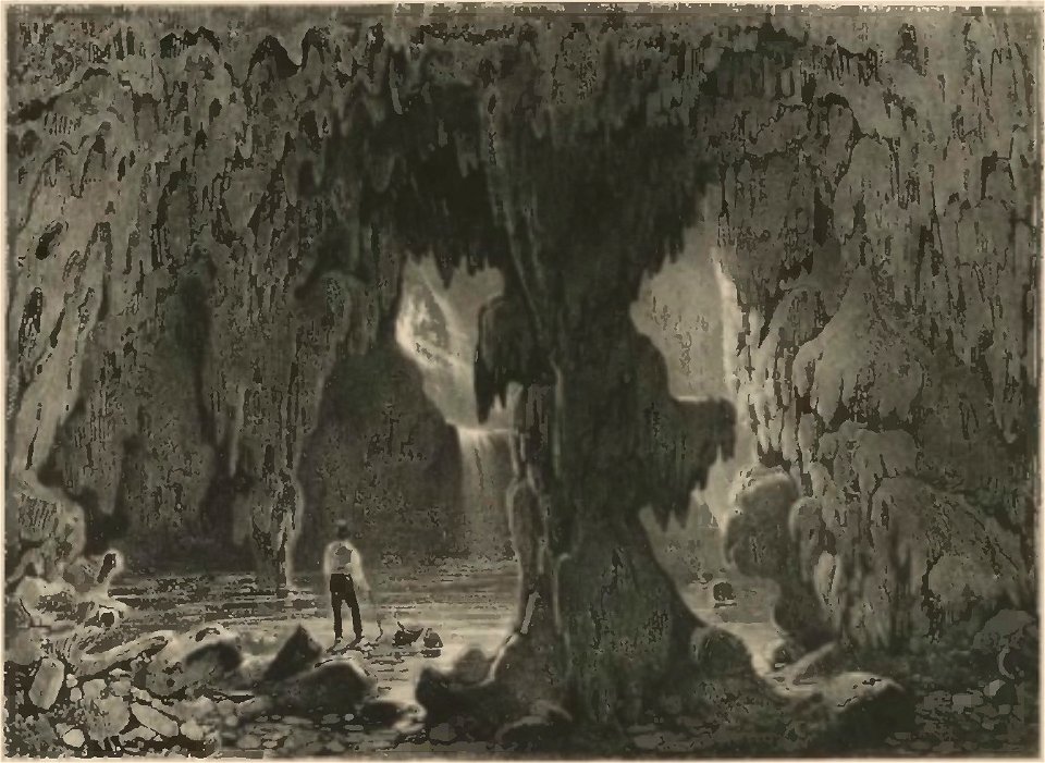 Rugendas - Voyage pittoresque dans le Brésil, fascicule 4, trad Golbéry, 1827 (page 15 crop)