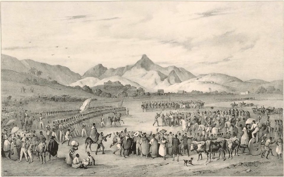 Rugendas - Voyage pittoresque dans le Brésil, fascicule 13, trad Golbéry, 1827 (page 15 crop)