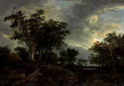 Jacob van Ruisdael - Wooded Landscape with a Pond - d5403335a