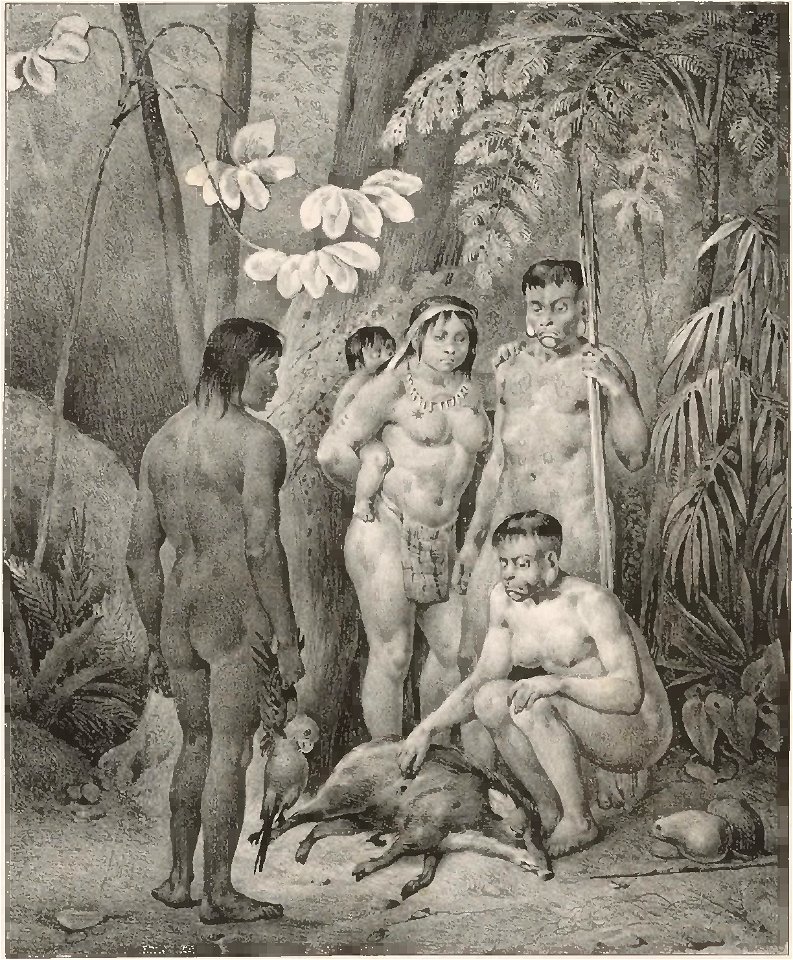 Rugendas - Voyage pittoresque dans le Brésil, fascicule 7, trad Golbéry, 1827 (page 11 crop)