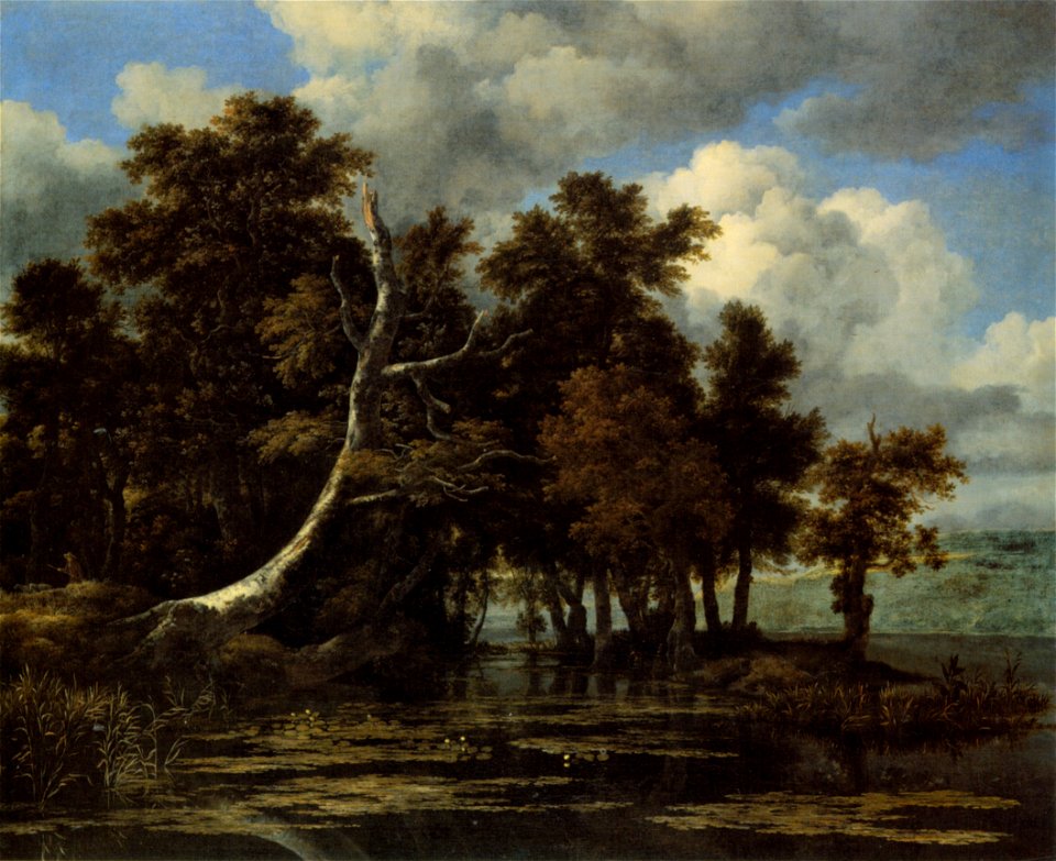 Isaacsz-van-ruisdael eichen