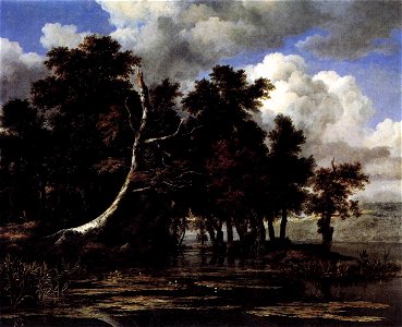 Jacob Isaacksz. van Ruisdael - Oaks by a Lake with Waterlilies - WGA20502