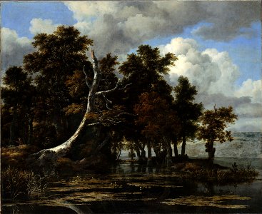 Ruisdael - Oaks at a lake with Water Lilies - Google Art Project